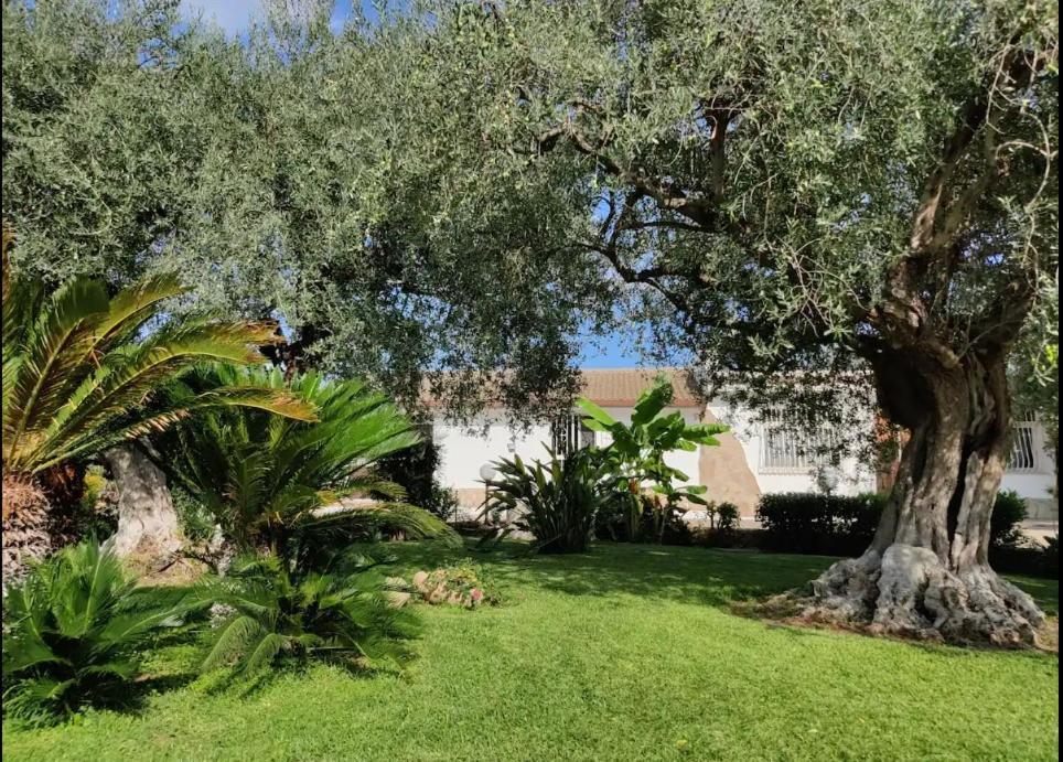 Villa Antonella Augusta Exterior photo